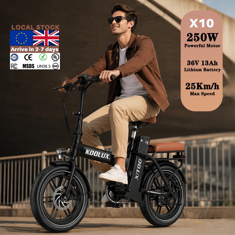 Europe Poland X10 Electric Fol - Mountain Biking Europe 评论和价格